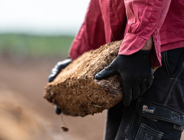 Worker in gloves holding a large piece of natural peat, showcasing sustainable peat harvesting by ETEPEK in an open field.