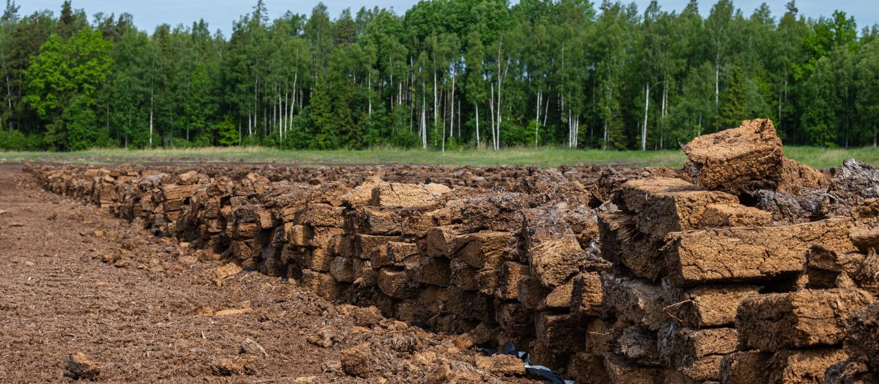 Stacks of harvested block peat in a field, surrounded by lush green trees, showcasing ETEPEK's sustainable peat harvesting practices in Latvia.