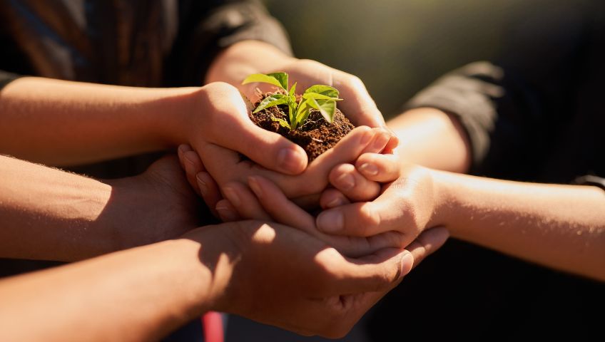 Multiple hands holding a small plant growing in soil, symbolizing teamwork and sustainability, highlighting ETEPEK's commitment to environmental responsibility and growth.