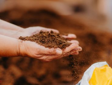 Hands holding natural peat moss with a blurred background and a partially visible open bag, showcasing the texture and quality of the material provided by ETEPEK company.