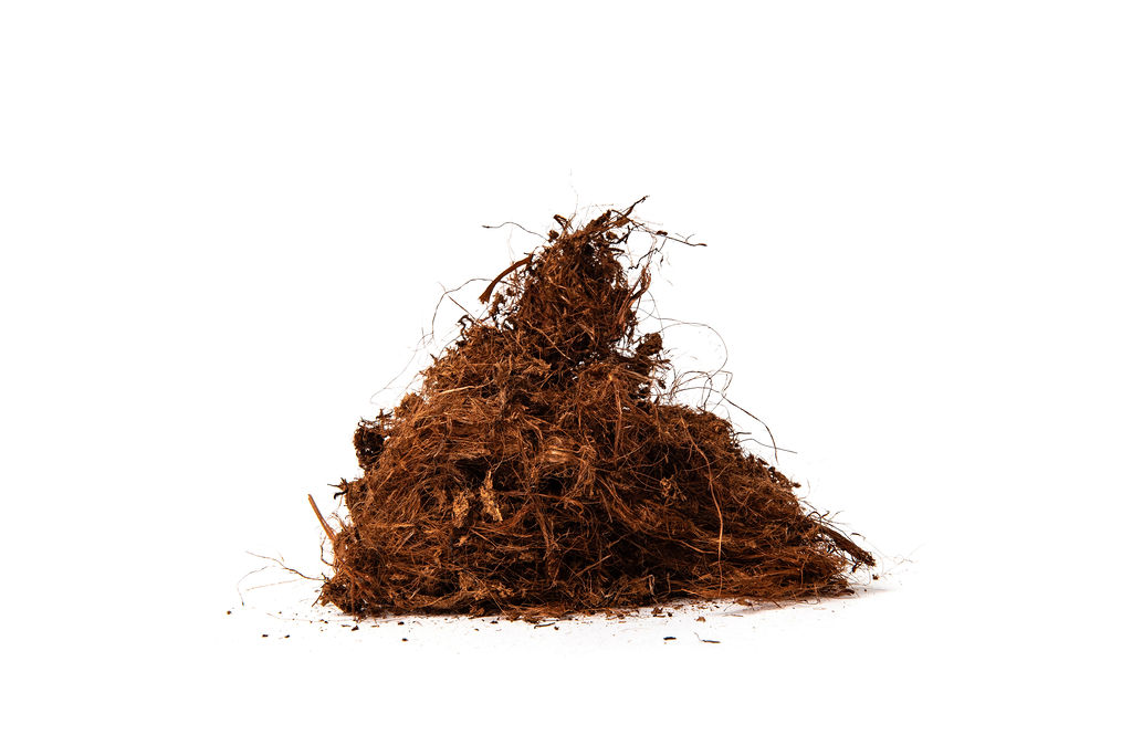 A pile of fibrous white peat, showcasing its long, coarse strands, ideal for improving soil aeration, water retention, and root development in professional horticultural applications.