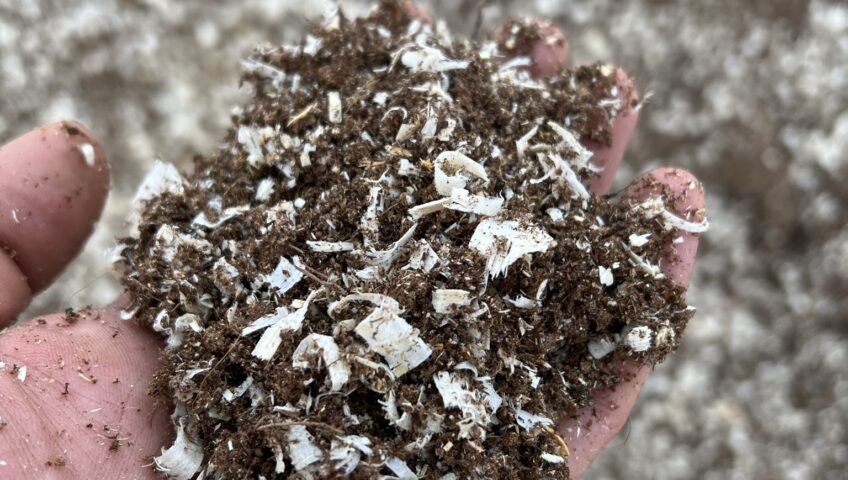 Hand holding ETEPEK chicken bedding mix with fine peat and wood shavings, showcasing optimal particle size for comfort and dust reduction.