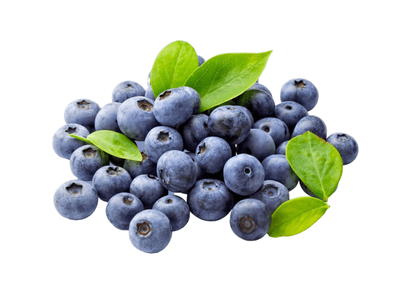 Close-up of fresh blueberries with vibrant green leaves, showcasing their natural quality and suitability for sustainable growth with ETEPEK solutions