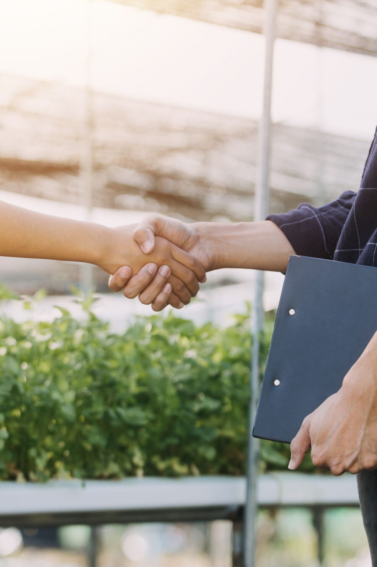 Two people shaking hands in a greenhouse, one holding a black folder.