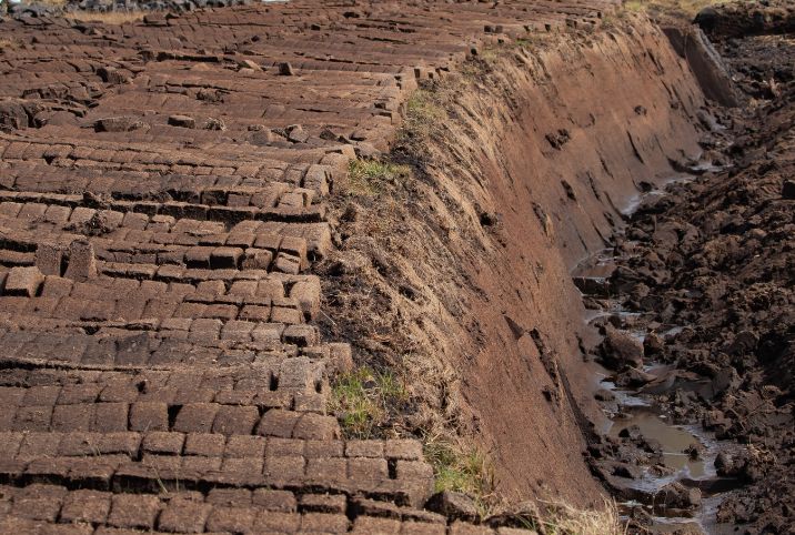 Blocks of peat drying in a harvested peat bog with visible drainage channels, showcasing the natural structure and texture of the peat, etepek