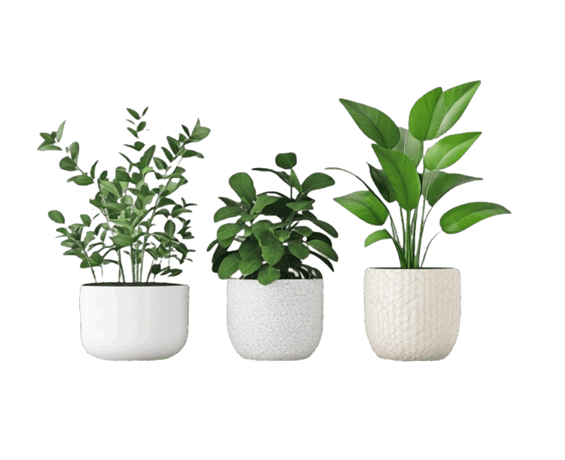 plants in pots etepek peat moss