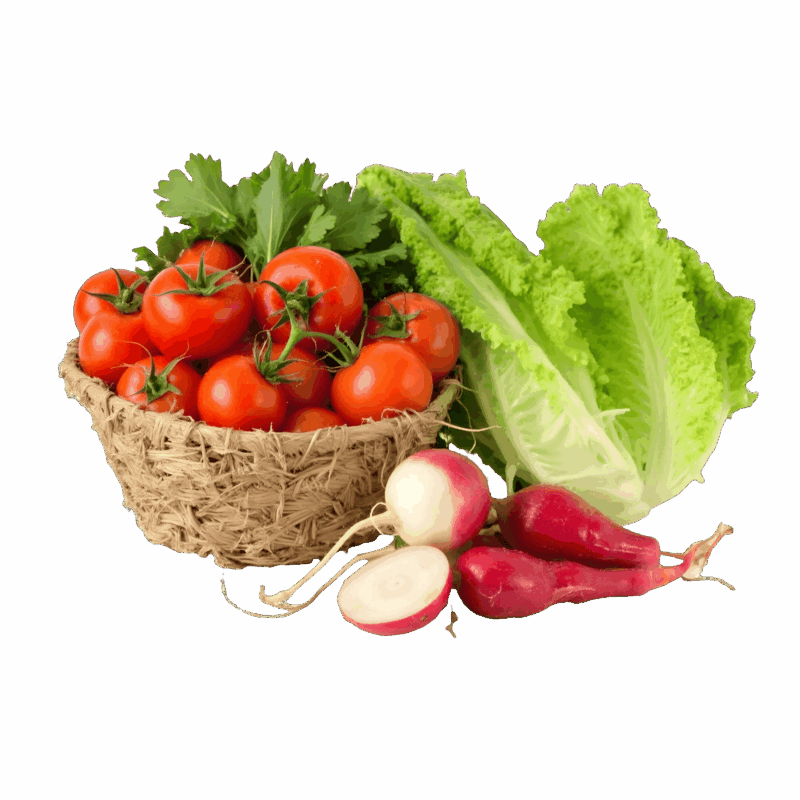 A vibrant assortment of fresh vegetables including tomatoes, radishes, and lettuce in a rustic basket, representing sustainable and healthy cultivation supported by ETEPEK.