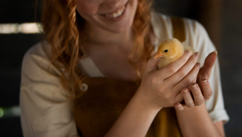 A smiling woman with curly red hair gently holding a small yellow chick in her hands, highlighting care and warmth in poultry farming, etepek