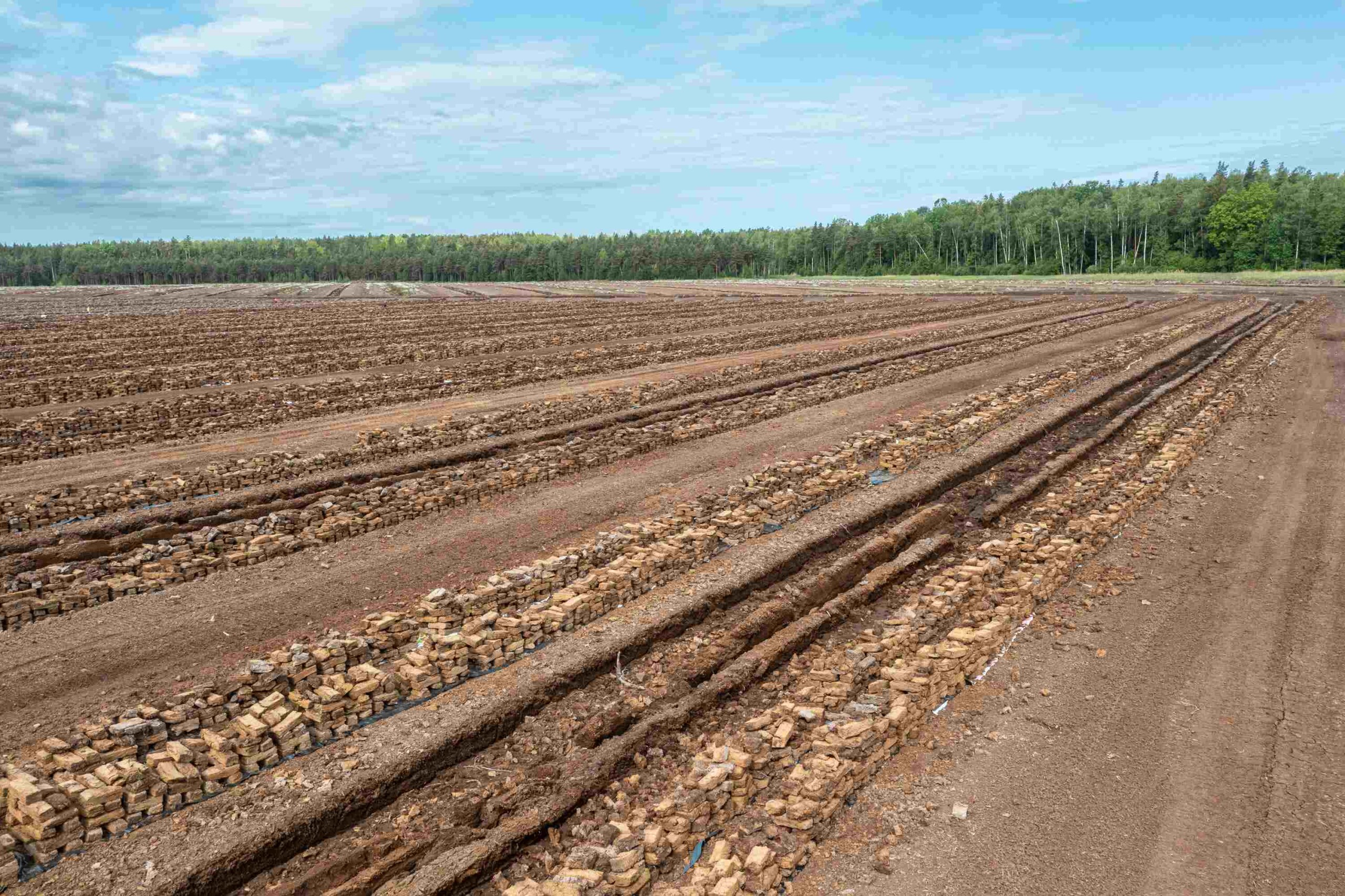 Harvested peat bog with stacked peat blocks, showcasing sustainable peat extraction.