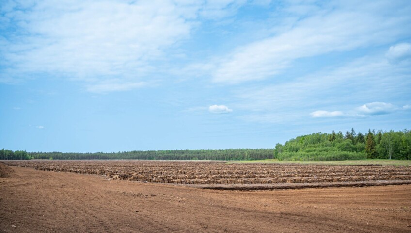 sustainably harvested peat bog in Latvia