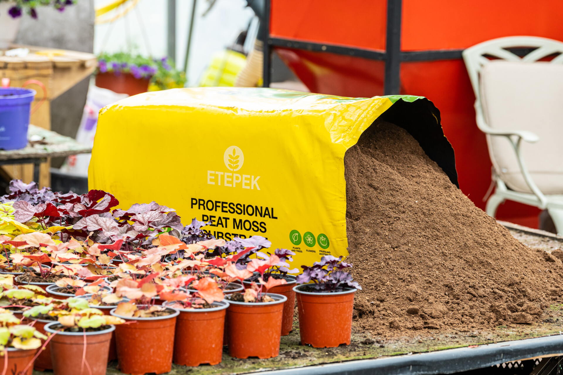 Horticulture depends on timely peat moss delivery – ETEPEK