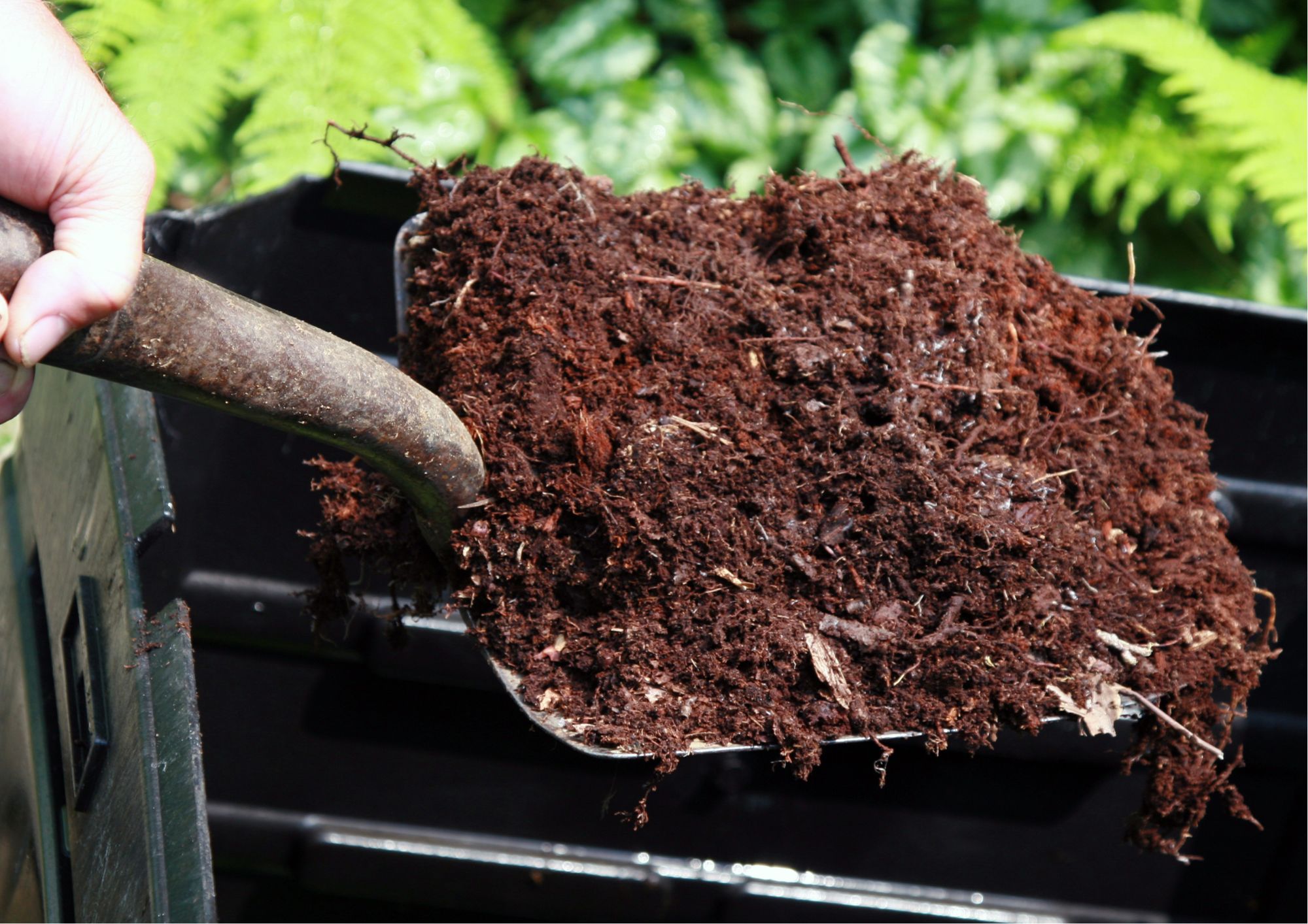 Nutrient-rich compost being added to garden soil for fertility