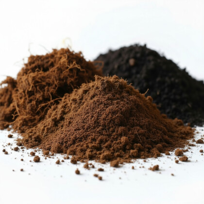 Peat moss, compost, and coconut fiber compared as soil improvers, ETEPEK